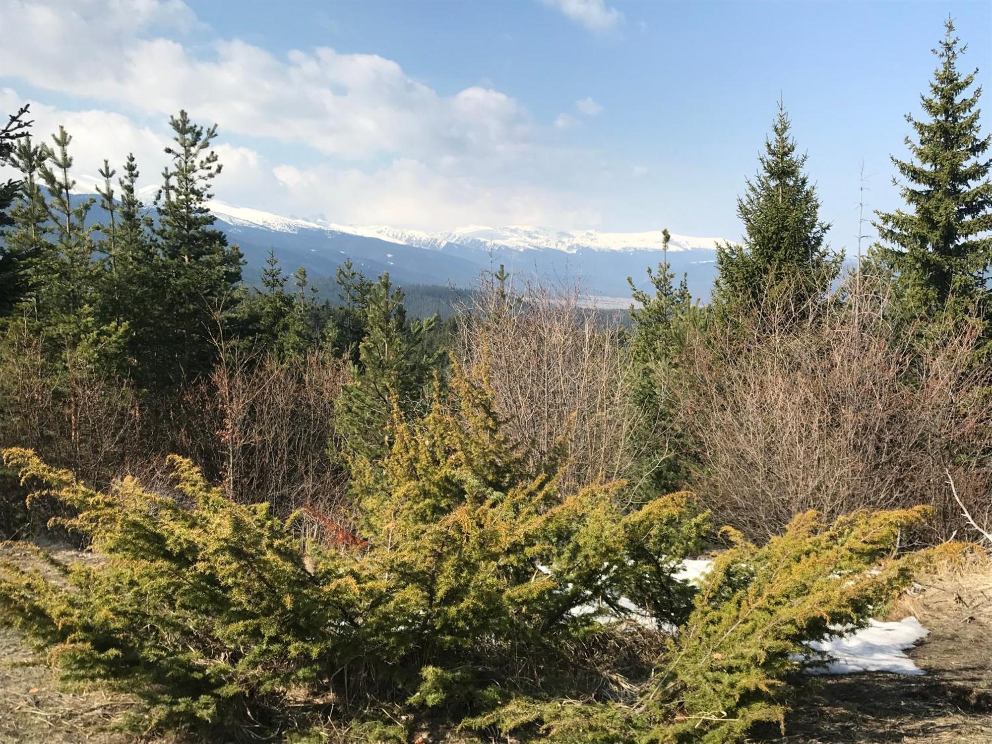 Borovets Hills Apartments - Evergreen Suite Exterior photo